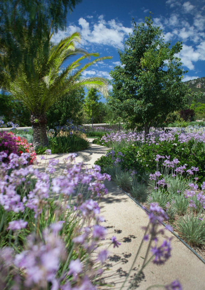 View of the garden with purple flowers, trees and blue sky with some disperse clouds. 